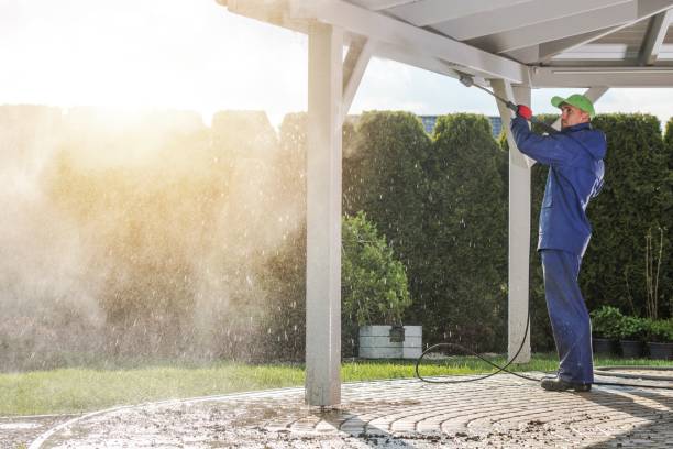 Best Graffiti Removal  in Lemont, PA