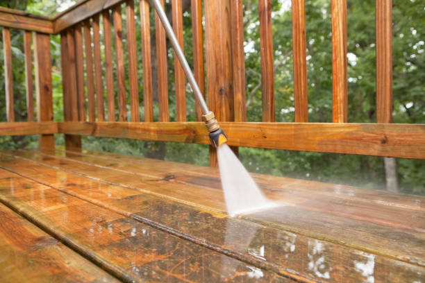 Best Solar Panel Cleaning  in Lemont, PA